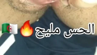 Niyakaaa sghira ta3 alger t7ok mli777 w t3ayat